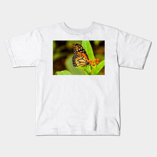 abs butterfly Kids T-Shirt by pcfyi